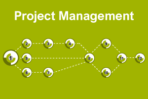 Project Management Description